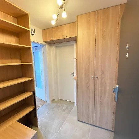 Miky Klinovec View *