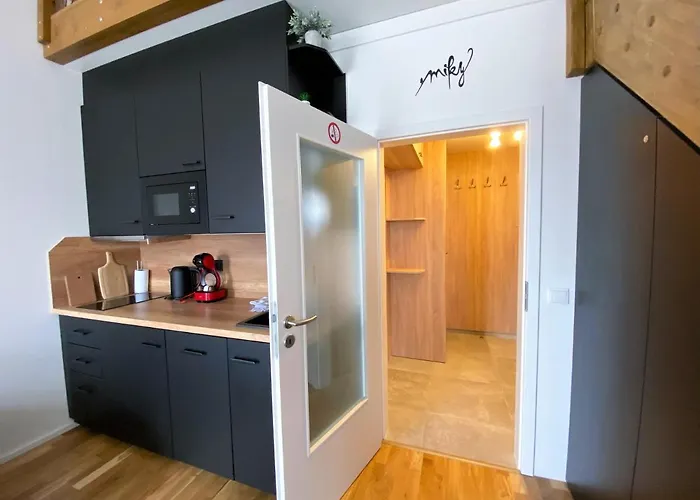 Miky Klinovec View * Loučná pod Klínovcem