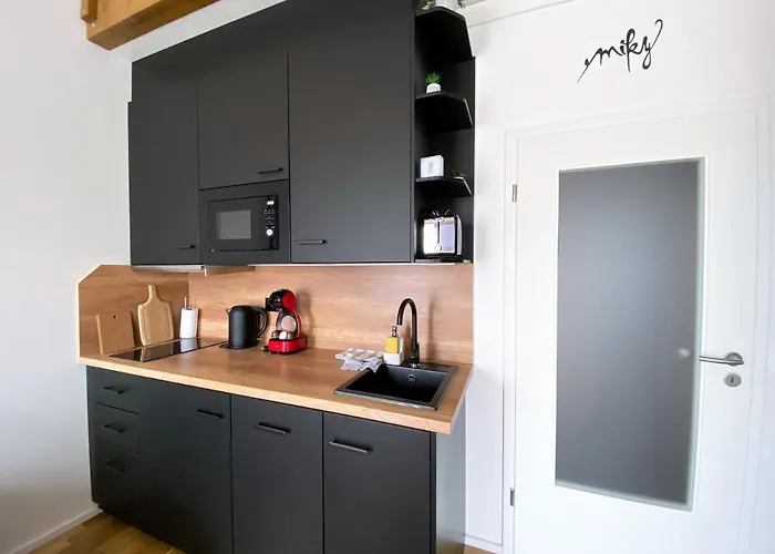 Διαμέρισμα Miky Klinovec View Loučná pod Klínovcem