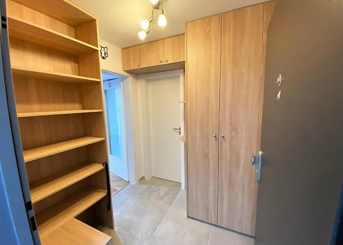 Miky Klinovec View *